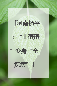河南镇平：“土蛋蛋”变身“金疙瘩”
