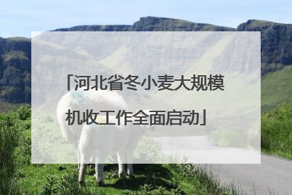 河北省冬小麦大规模机收工作全面启动