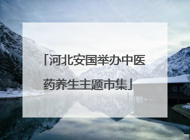 河北安国举办中医药养生主题市集