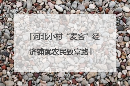 河北小村“麦客”经济铺就农民致富路