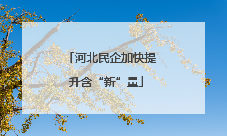 河北民企加快提升含“新”量