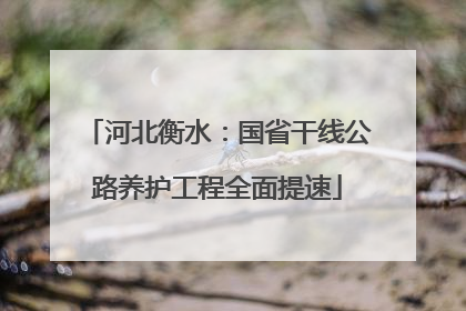 河北衡水：国省干线公路养护工程全面提速