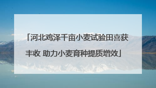 河北鸡泽千亩小麦试验田喜获丰收 助力小麦育种提质增效