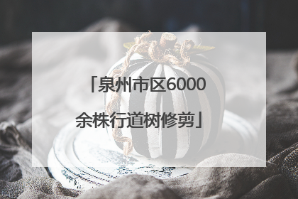 泉州市区6000余株行道树修剪