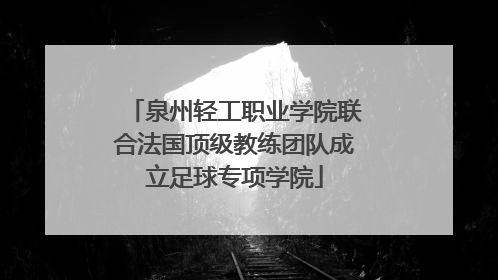泉州轻工职业学院联合法国顶级教练团队成立足球专项学院