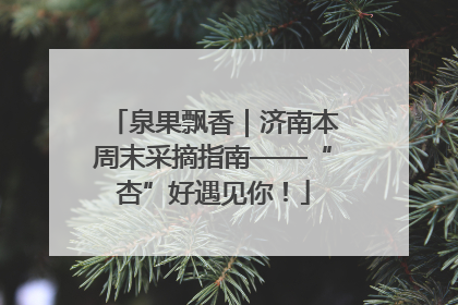 泉果飘香｜济南本周末采摘指南——“杏”好遇见你！