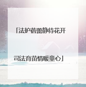 法护蓓蕾静待花开 司法育苗情暖童心