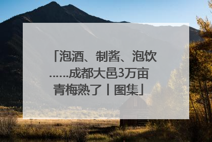 泡酒、制酱、泡饮……成都大邑3万亩青梅熟了丨图集