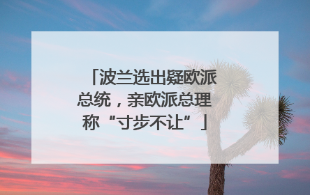 波兰选出疑欧派总统，亲欧派总理称“寸步不让”