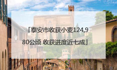 泰安市收获小麦124,980公顷 收获进度近七成