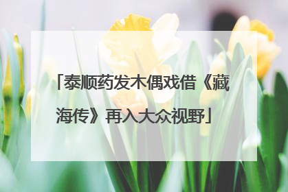 泰顺药发木偶戏借《藏海传》再入大众视野