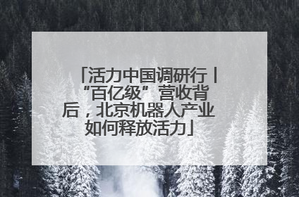 活力中国调研行丨 “百亿级”营收背后，北京机器人产业如何释放活力