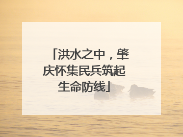 洪水之中，肇庆怀集民兵筑起生命防线