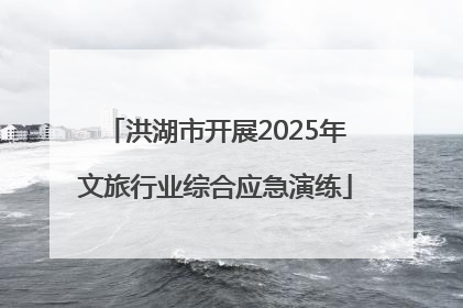 洪湖市开展2025年文旅行业综合应急演练