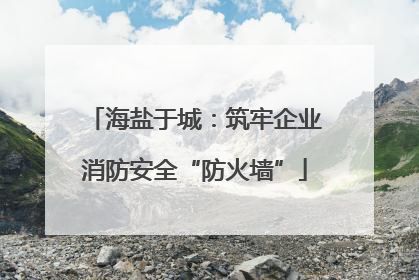 海盐于城：筑牢企业消防安全“防火墙”