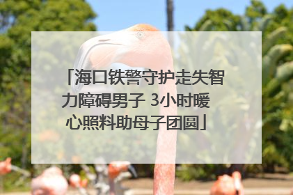 海口铁警守护走失智力障碍男子 3小时暖心照料助母子团圆