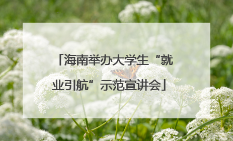 海南举办大学生“就业引航”示范宣讲会