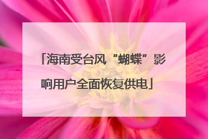 海南受台风“蝴蝶”影响用户全面恢复供电