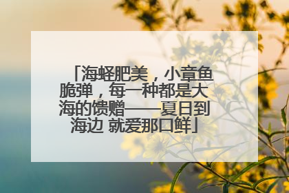 海蛏肥美，小章鱼脆弹，每一种都是大海的馈赠——夏日到海边 就爱那口鲜