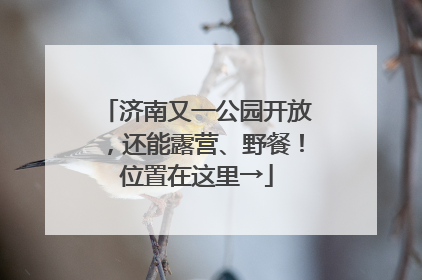济南又一公园开放，还能露营、野餐！位置在这里→