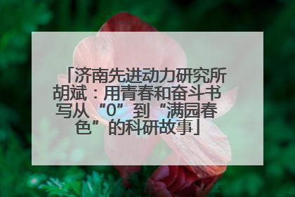 济南先进动力研究所胡斌：用青春和奋斗书写从“0”到“满园春色”的科研故事