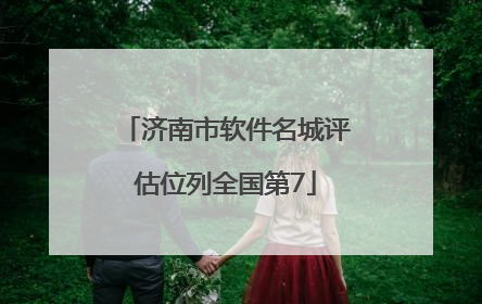 济南市软件名城评估位列全国第7