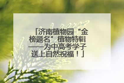 济南植物园“金榜题名”植物特辑——为中高考学子送上自然祝福！
