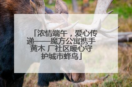 浓情端午，爱心传递——魔方公寓携手黄木 厂社区暖心守护城市蜂鸟
