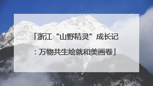 浙江“山野精灵”成长记：万物共生绘就和美画卷