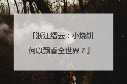 浙江缙云：小烧饼何以飘香全世界？