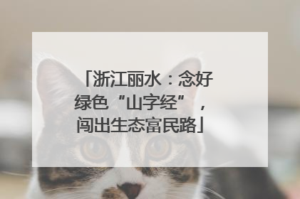 浙江丽水：念好绿色“山字经”，闯出生态富民路