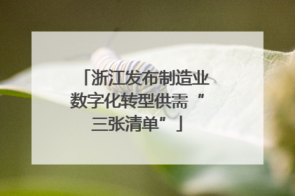 浙江发布制造业数字化转型供需“三张清单”