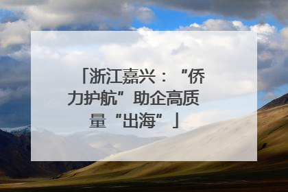 浙江嘉兴：“侨力护航”助企高质量“出海”