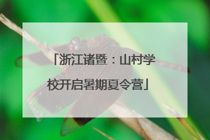 浙江诸暨：山村学校开启暑期夏令营