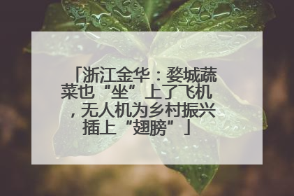 浙江金华：婺城蔬菜也“坐”上了飞机，无人机为乡村振兴插上“翅膀”