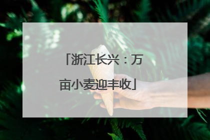 浙江长兴：万亩小麦迎丰收