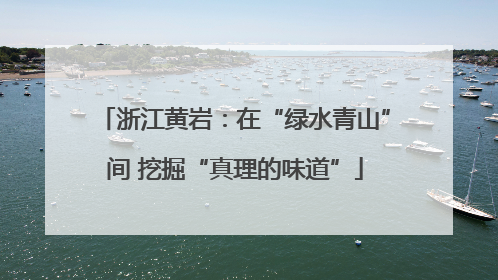 浙江黄岩：在“绿水青山”间 挖掘“真理的味道”