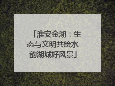 淮安金湖：生态与文明共绘水韵湖城好风景