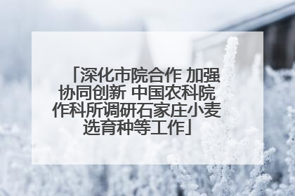 深化市院合作 加强协同创新 中国农科院作科所调研石家庄小麦选育种等工作
