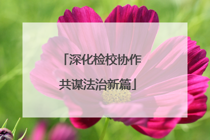 深化检校协作 共谋法治新篇
