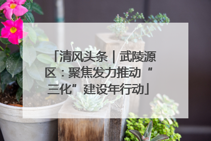 清风头条｜武陵源区：聚焦发力推动“三化”建设年行动