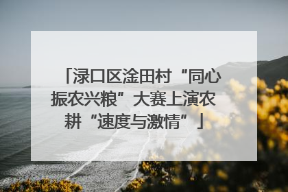 渌口区淦田村“同心振农兴粮”大赛上演农耕“速度与激情”