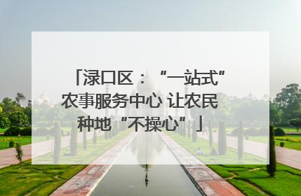 渌口区：“一站式”农事服务中心 让农民种地“不操心”