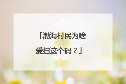 渤海村民为啥爱扫这个码？