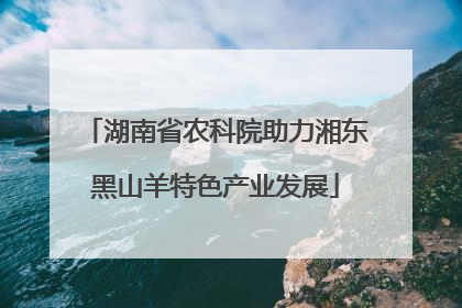湖南省农科院助力湘东黑山羊特色产业发展