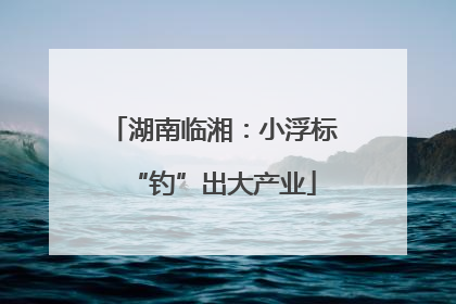 湖南临湘：小浮标“钓”出大产业