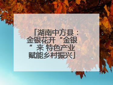 湖南中方县：金银花开“金银”来 特色产业赋能乡村振兴