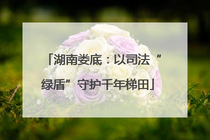 湖南娄底：以司法“绿盾”守护千年梯田