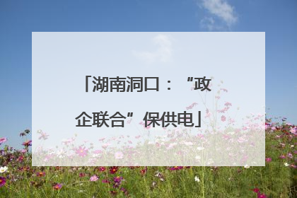 湖南洞口：“政企联合”保供电