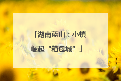 湖南蓝山：小镇崛起“箱包城”